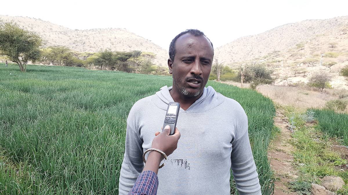 Irrigation development-Jille Timuga